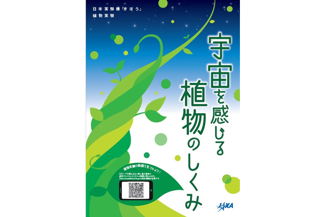 JAXA、ISSでの実験を紹介「宇宙を感じる植物のしくみ」無料発行 画像