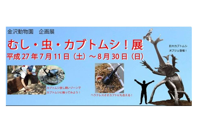 【夏休み】「むし・虫・カブトムシ！展」開催、 横浜・金沢動物園 画像