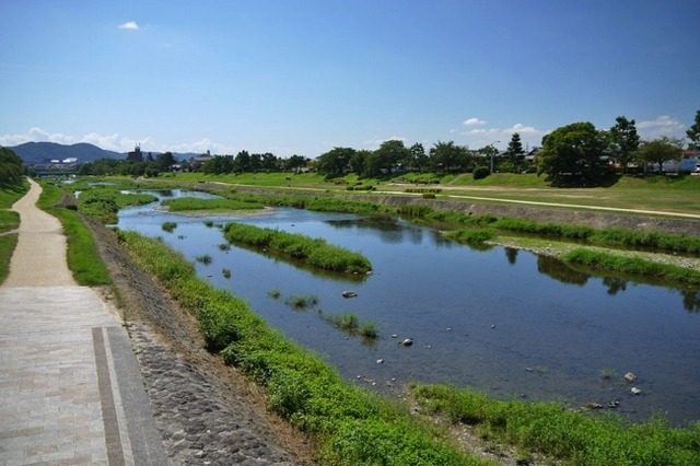 走って子どもたちを支援、鴨川チャリティ・ラン9/26 画像