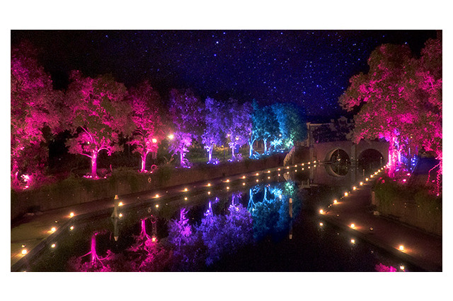 チームラボ、武雄市や新江ノ島水族館に“溶け込む”プロジェクト 画像