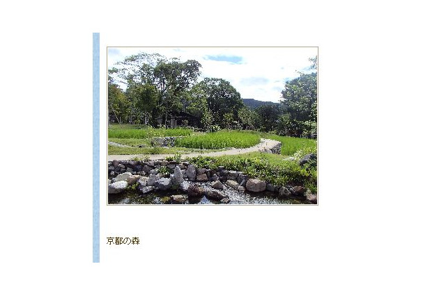 京都市動物園、新エリア「京都の森」オープン9/5 画像