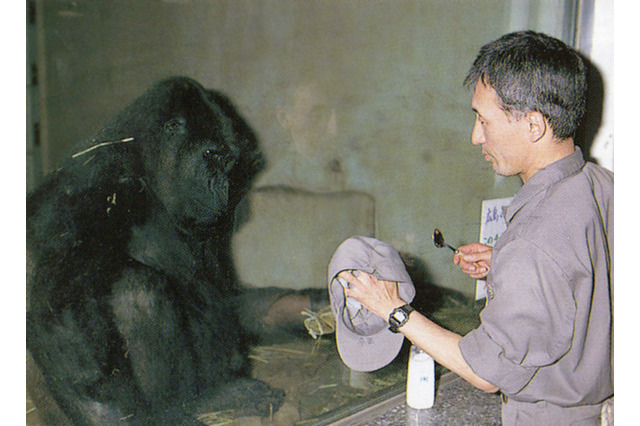 上野動物園の敬老の日、長年飼育・長寿動物に解説パネル9/8-23 画像
