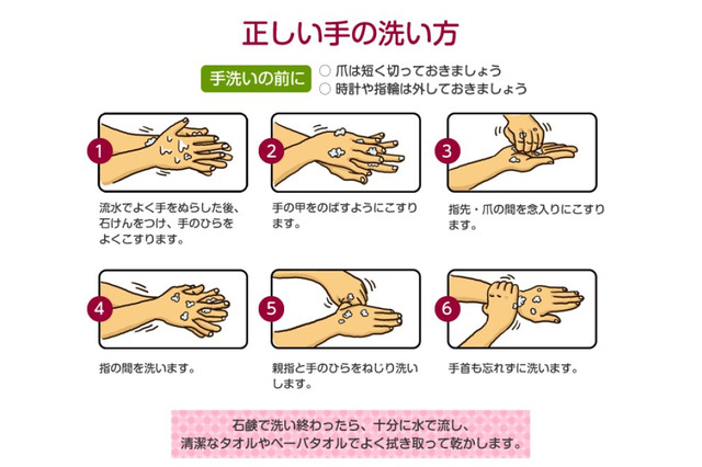 食事前に手を洗う人は約半数…正しいノロウィルス予防を解説 画像