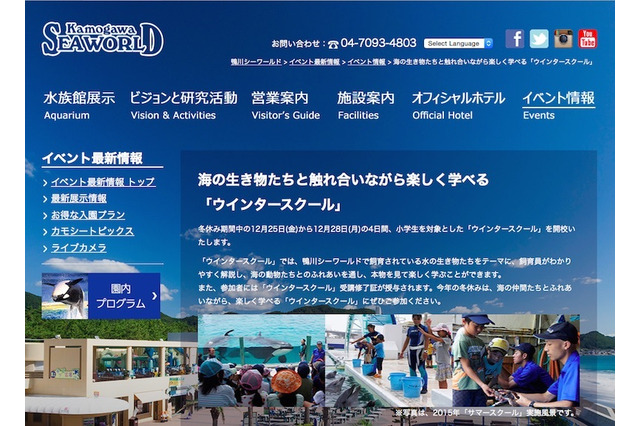 【冬休み】水の生き物がテーマのウインタースクール…鴨川シーワールド 画像