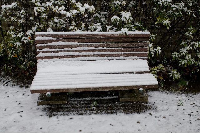 首都圏で積雪、学生の足を直撃…臨時休講で「詫び単位」や交通費要求 画像