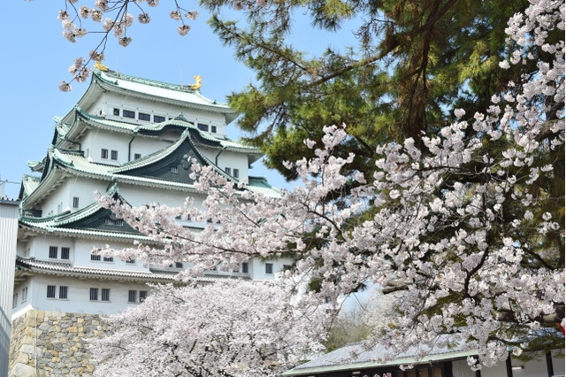 【高校受験2016】愛知県公立高校入試Bグループ3/7…最終倍率や解答速報 画像