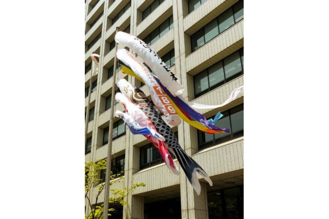 横綱白鵬やさかなクン参加、厚労省「こいのぼり掲揚式」4/25 画像