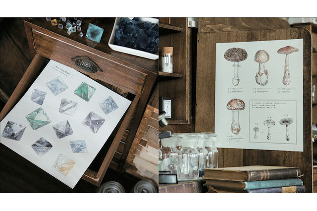 完成させて自分だけの図鑑に「鉱物と理科室のぬり絵」 画像