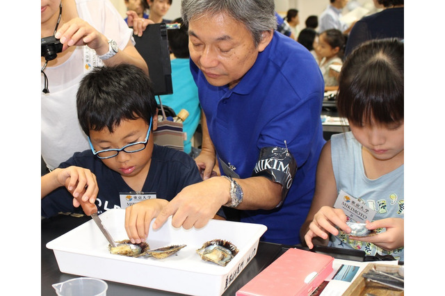 【夏休み2016】東大で「真珠を育む海を知ろう」ミキモト体験観察会8/2 画像