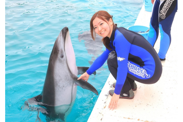 【夏休み2016】ハンドサインや泳ぎに挑戦、鴨シーでイルカと触れ合おう 画像