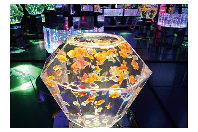 史上最大、8千匹の金魚アートアクアリウム「江戸・金魚の涼」9/25まで 画像