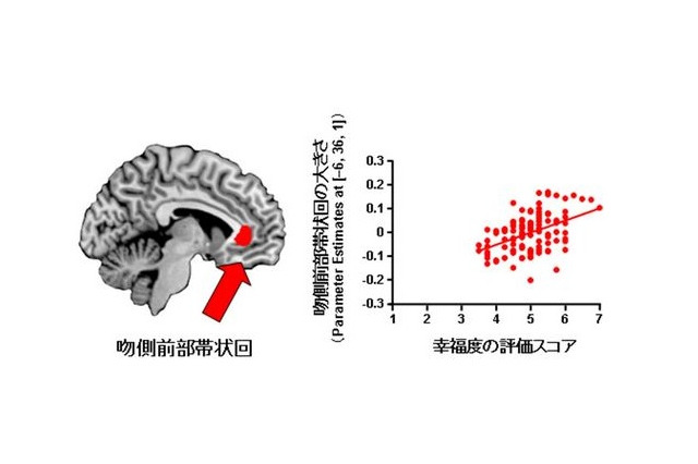 「幸せ」はトレーニングで増強できる!? 生理学研究所が発表 画像