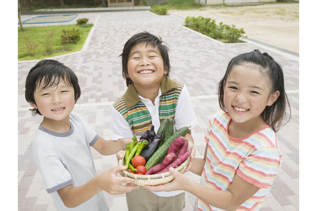 学校給食で地場産物、使用する割合は約27％…文科省調査 画像