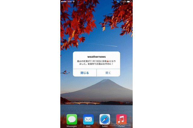 これで見逃す心配なし!? 紅葉通知サービスをウェザーニューズが開始 画像