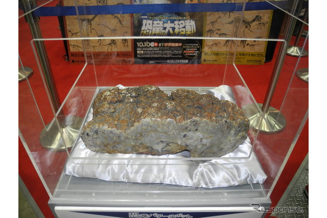 “恐竜のウンコ”に子どもたちが大興奮…勝山市で化石発掘 画像