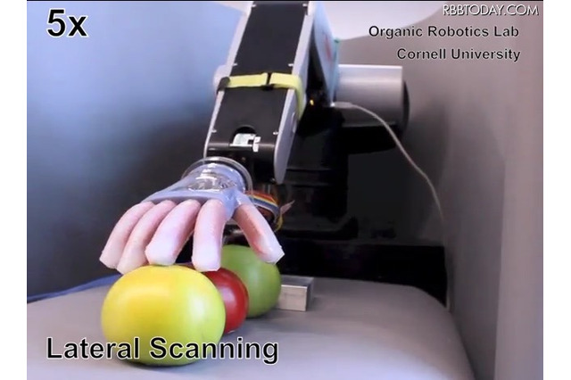 柔らかい「手」を持つロボット誕生、米コーネル大が開発 画像