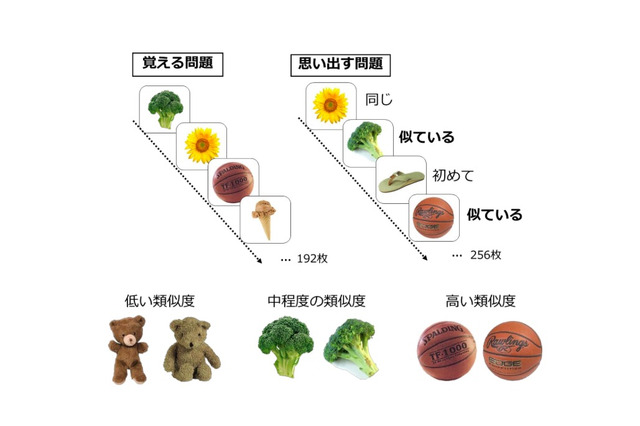 10分間のきつめ運動で記憶力アップ…筑波大教授ら実証 画像