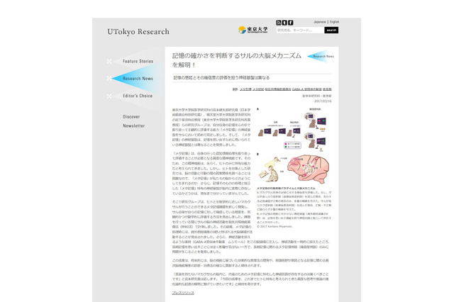 東大・順大研究グループが「メタ記憶」の神経基盤を解明…教育法の開発に期待 画像