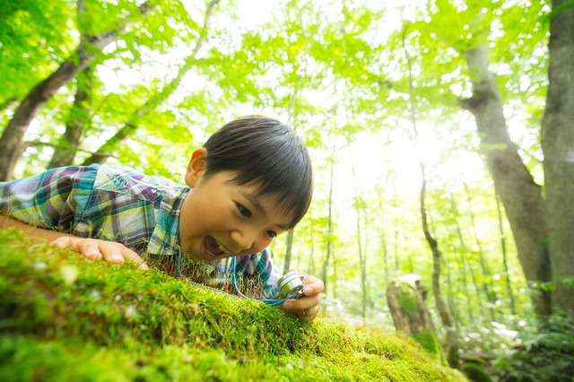 【夏休み2017】奥入瀬渓流で探検、星野リゾート「苔キッズ」7/22-8/31 画像