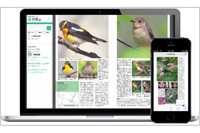 生物図鑑が読み放題、電子書籍「図鑑.jp」無料お試し5/31まで 画像