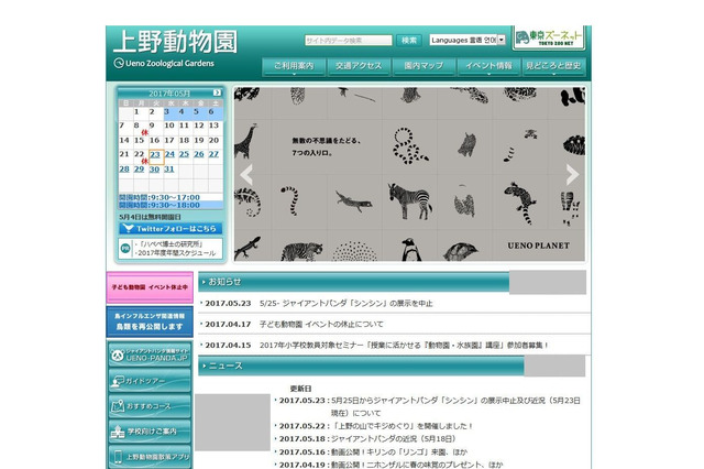 パンダ「シンシン」5/25公開おやすみへ…偽妊娠とは？ 画像