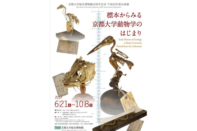 京大博物館20周年「標本からみる京都大学動物学のはじまり」6/21-10/8 画像