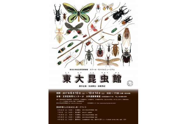 【夏休み2017】歴史的標本を展示「東大昆虫館」講演会6/10-10/14…野外活動も 画像