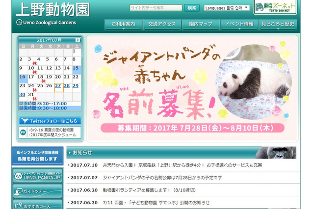 上野動物園、ジャイアントパンダの赤ちゃんの名前募集 画像