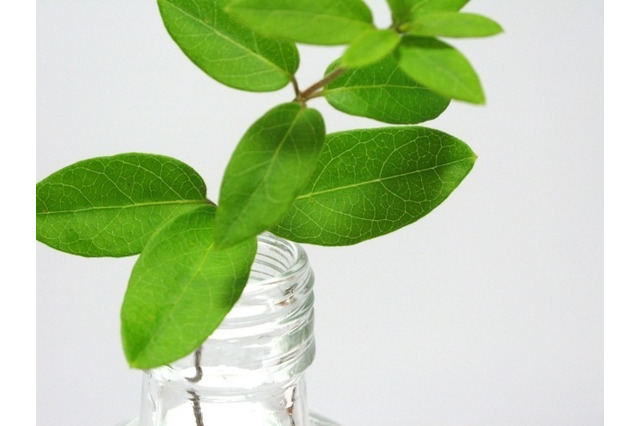 博報財団こども研究所シンポジウム2017…8/21東京・8/23京都 画像