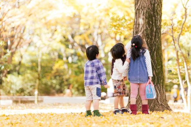 紅葉するのはなぜ？親子で学ぶ、秋の理科旅…SS-1辻義夫先生 画像