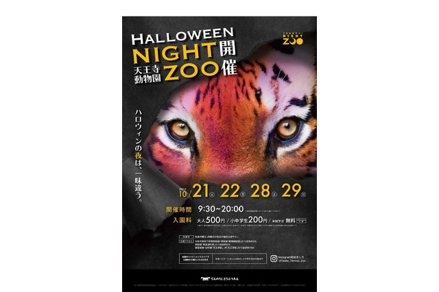 10月は「ハロウィンナイトZOO」天王寺動物園で夜の動物たちを楽しもう 画像