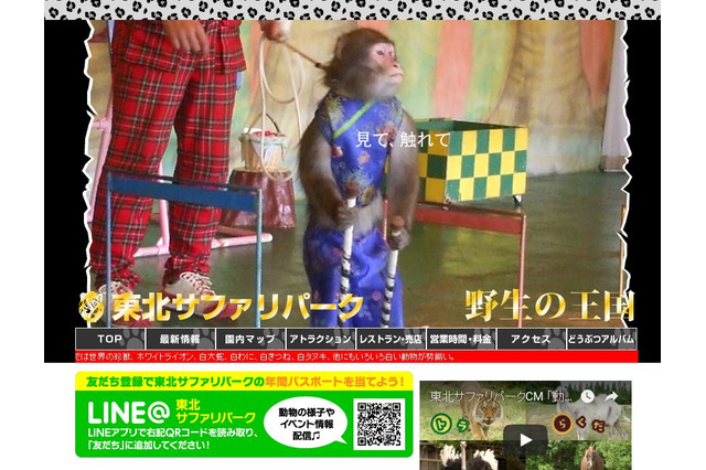 アシカやサルがお手伝い、東北サファリパークがサプライズ支援 画像