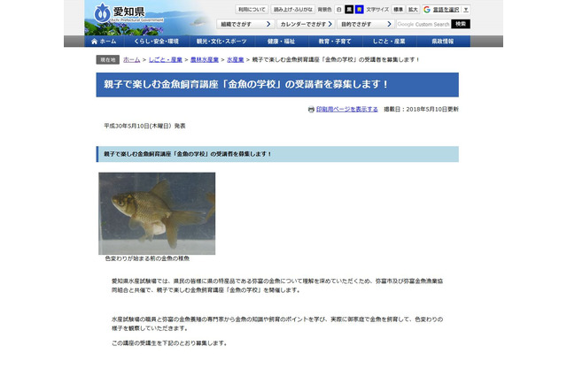 愛知県の小学生親子対象「金魚の学校」応募は6/15まで 画像
