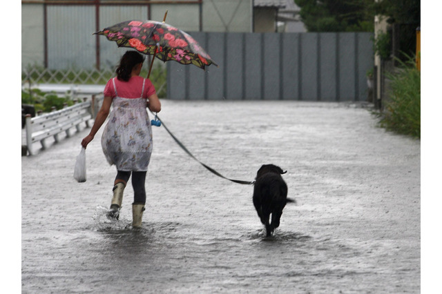 西日本で記録的な大雨、大阪や京都で休校相次ぐ…各地の判断基準 画像