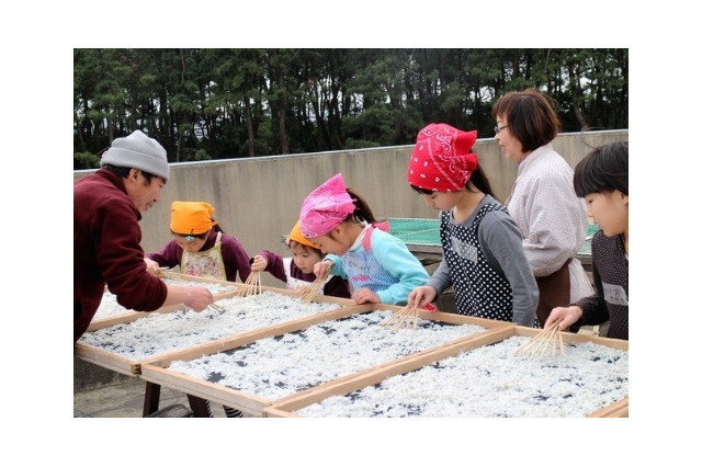 横須賀で過ごす1泊2日、生き物採集や漁協のお仕事体験9/8・9 画像