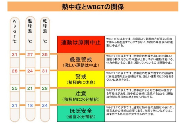 熱中症予防に関する緊急提言…暑さ指数を意識し、こまめな水分補給を 画像