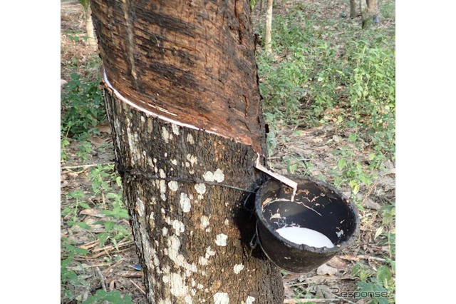 横浜ゴム、タイの大学ランキング1位のマヒドン大学らと共同研究の成果を発表 画像