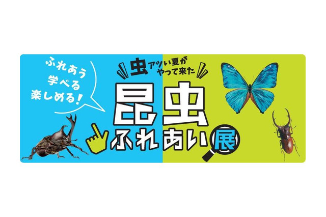 【夏休み2018】小田急百貨店新宿店「昆虫ふれあい展」8/14-20 画像