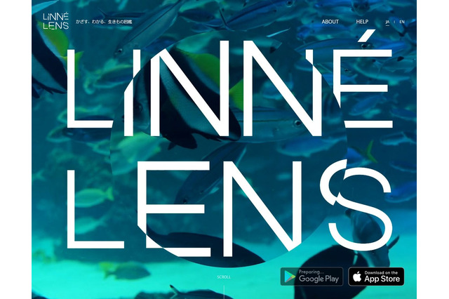 かざすだけのAI図鑑アプリ、サンシャイン水族館などで無料体験 画像