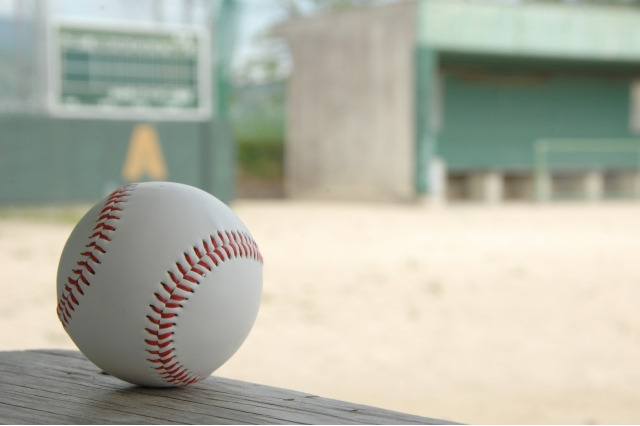 【高校野球2018夏】金足農-大阪桐蔭、学校・学科の特徴を紹介…決勝14時から 画像