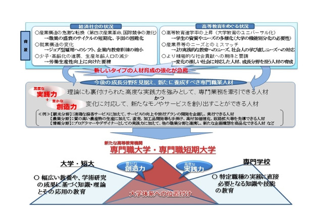 専門職大学、2019年開設予定7校が申請取り下げ 画像