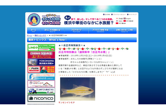 ヨコハマおもしろ水族館「お正月特別展示」12/29-1/6 画像