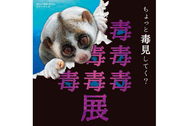 毒生物が大集合「毒毒毒毒毒毒毒毒毒展(もうどく展)」札幌3/22-5/7 画像