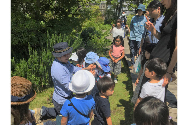 玉川高島屋S・C5月イベント、親子自然散策ツアー・ローズガーデンツアーなど 画像