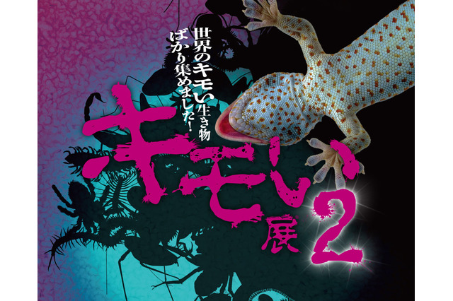 世界中の“キモい”生き物たちが大集合「キモい展2」東京ソラマチ6/6-7/15 画像