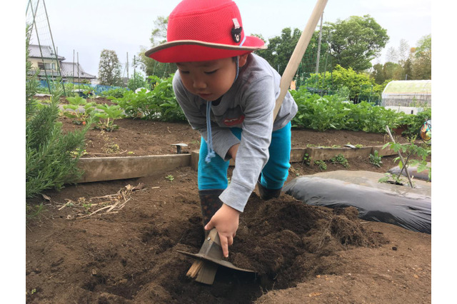 【夏休み2019】親子で収穫＆食育1日体験「ベジトレ」7/27、8/4横浜 画像