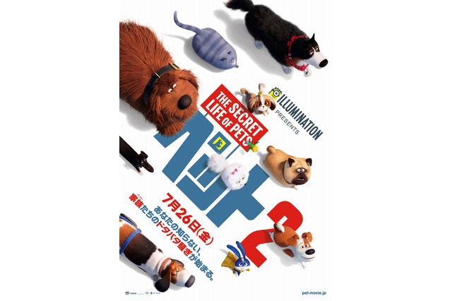 あなたは犬派?猫派?「ペット2」公開記念“犬猫総選挙”7/26まで 画像