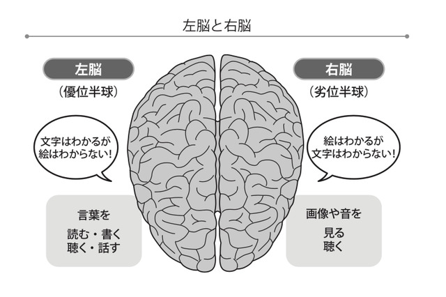 東大2回合格の医師が教える!「脳」率アップな勉強法その1 画像