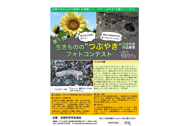 高校生対象「生き物のつぶやきコンテスト」10/31締切 画像