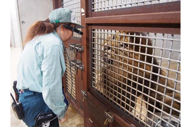 千葉市動物公園、小学校への遠隔授業の実証実験 画像